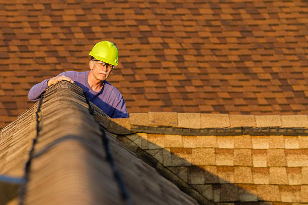 Roof Gutter Cleaning in Georgetown, OH